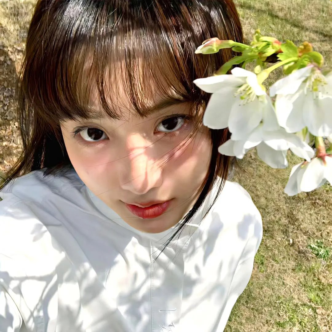 我的小马驹:友谊大魔法第六季国语版